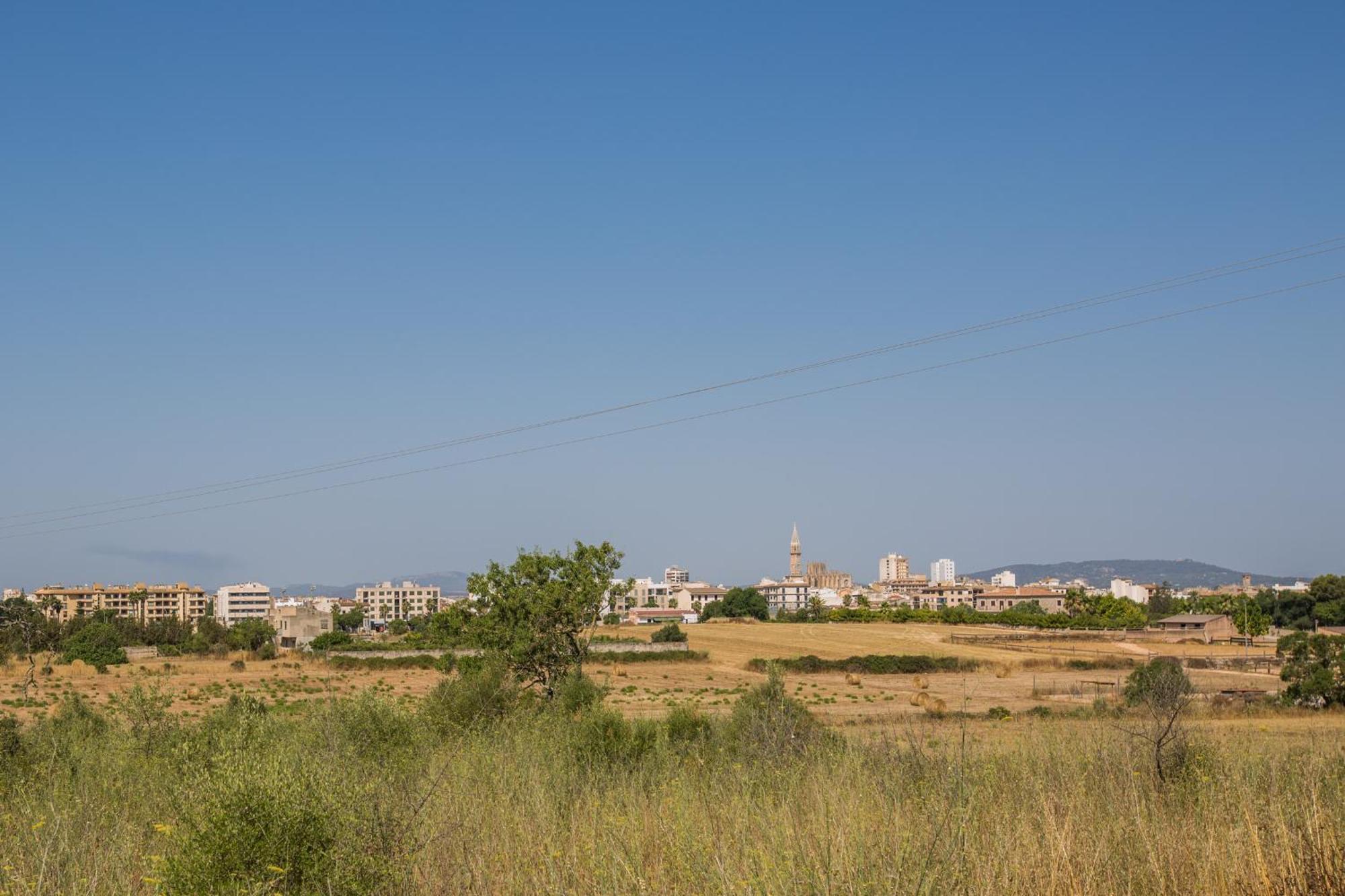 Villa Fernando Manacor  Εξωτερικό φωτογραφία