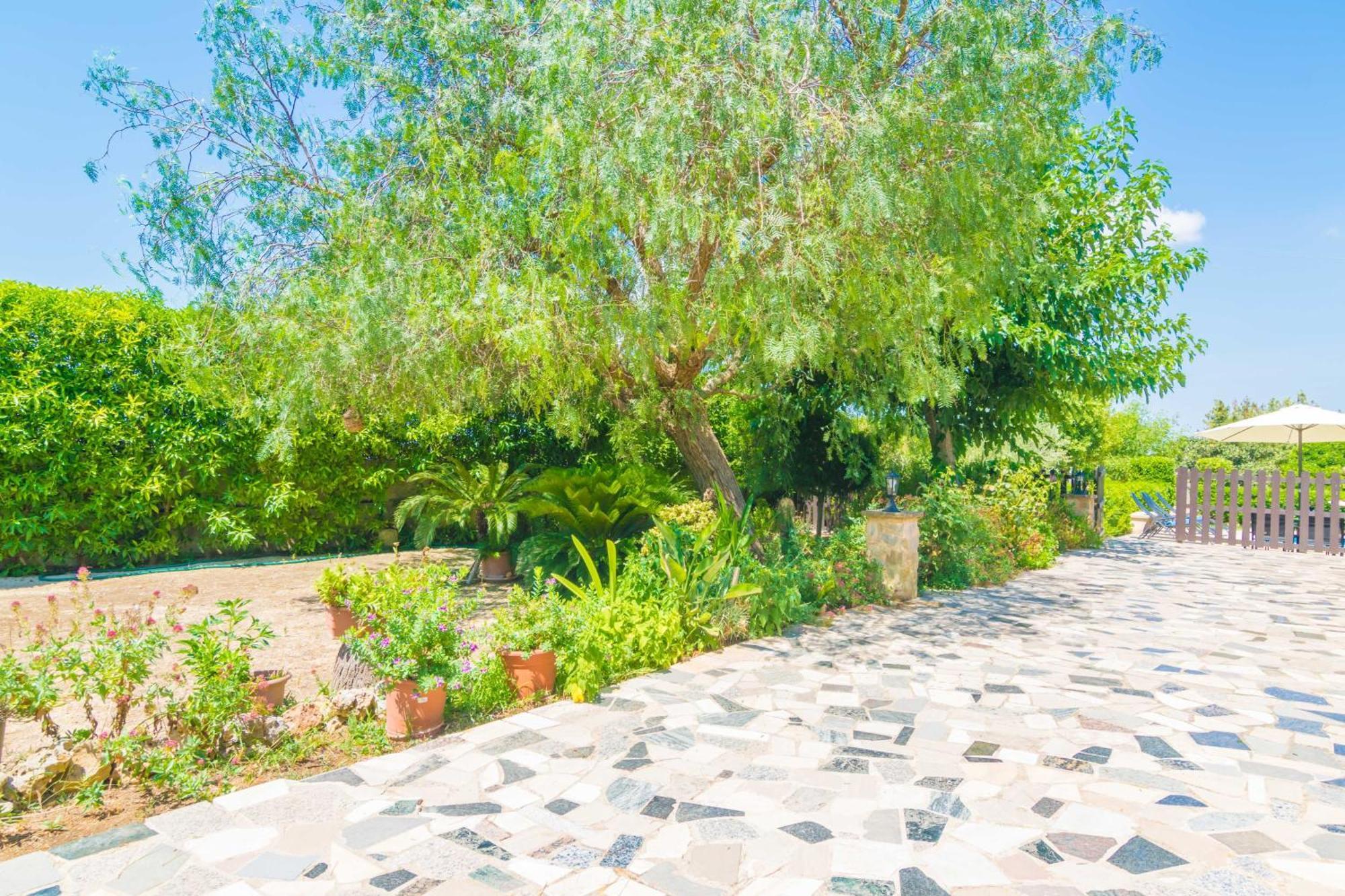 Villa Fernando Manacor  Εξωτερικό φωτογραφία